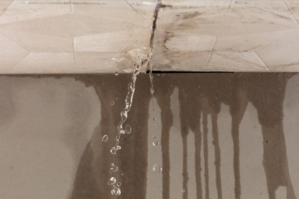 Professional Water Damage Restoration technician working in Archer, IA